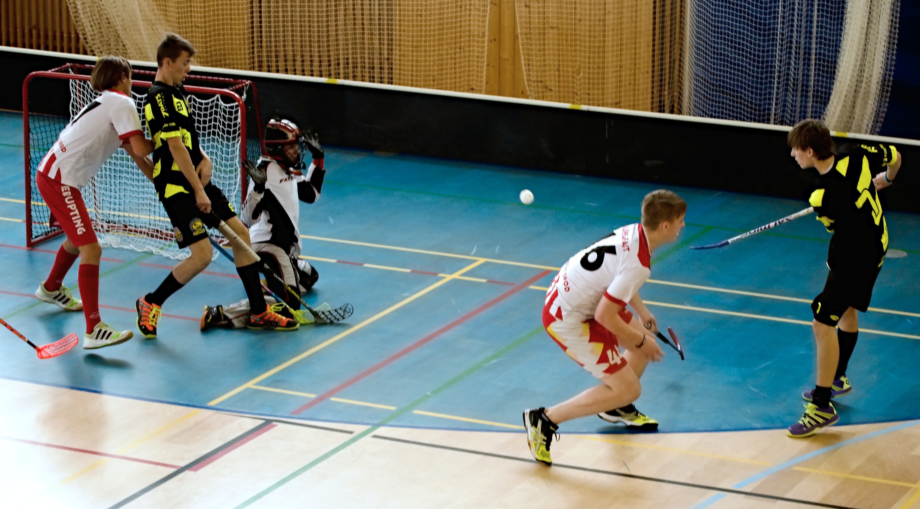 JunciLedec241015 016